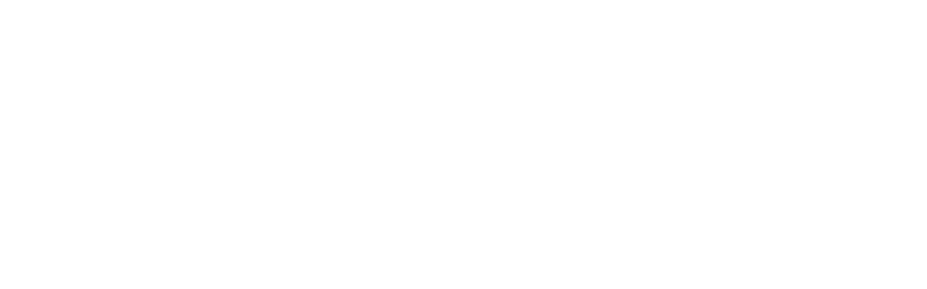 皮皮share